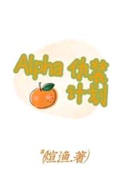 Alpha伪装计划封面